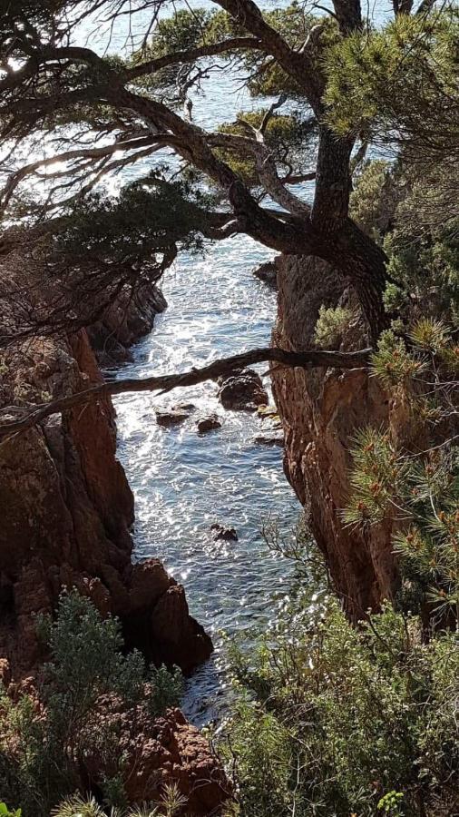 Saint Raphael, Cap Esterel Le Hameau. Vue Mer ภายนอก รูปภาพ